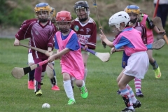 Camogie Blitz (64) (Medium)