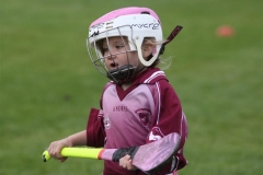 Camogie Blitz (65) (Medium)