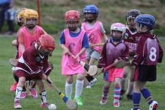 Camogie Blitz (66) (Medium)