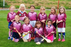 Camogie Blitz (68) (Medium)