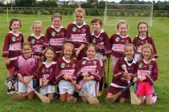 Camogie Blitz (69) (Medium)