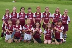 Camogie Blitz (70) (Medium)