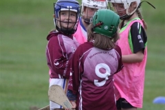 Camogie Blitz (1) (Medium)