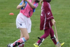 Camogie Blitz (10) (Medium)