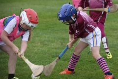 Camogie Blitz (11) (Medium)