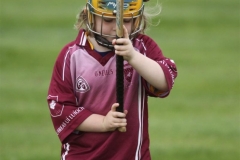 Camogie Blitz (13) (Medium)