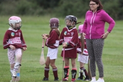 Camogie Blitz (14) (Medium)