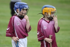 Camogie Blitz (15) (Medium)