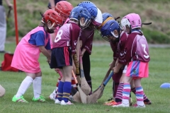 Camogie Blitz (16) (Medium)