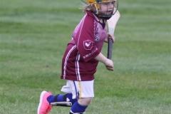 Camogie Blitz (17) (Medium)