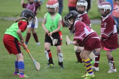 Camogie Blitz (18) (Medium)