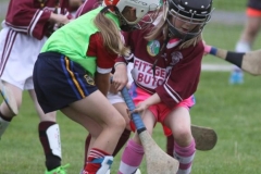 Camogie Blitz (19) (Medium)