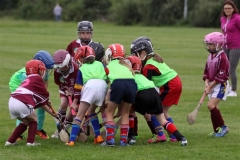 Camogie Blitz (2) (Medium)