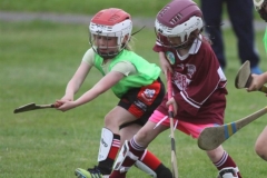 Camogie Blitz (20) (Medium)