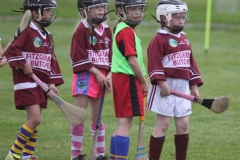 Camogie Blitz (21) (Medium)