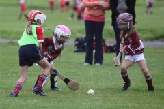 Camogie Blitz (22) (Medium)