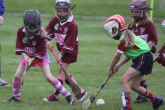 Camogie Blitz (23) (Medium)