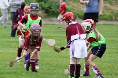 Camogie Blitz (24) (Medium)