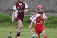 Camogie Blitz (25) (Medium)