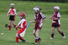 Camogie Blitz (26) (Medium)