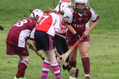 Camogie Blitz (27) (Medium)