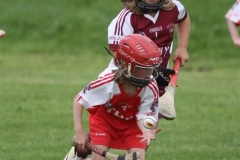 Camogie Blitz (28) (Medium)