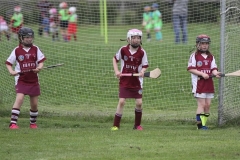 Camogie Blitz (29) (Medium)