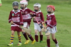 Camogie Blitz (3) (Medium)