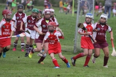 Camogie Blitz (30) (Medium)