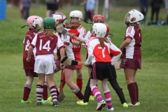 Camogie Blitz (31) (Medium)