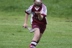 Camogie Blitz (32) (Medium)