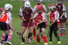 Camogie Blitz (33) (Medium)