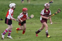 Camogie Blitz (34) (Medium)