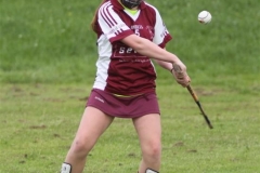 Camogie Blitz (35) (Medium)