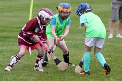 Camogie Blitz (4) (Medium)