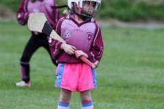 Camogie Blitz (6) (Medium)