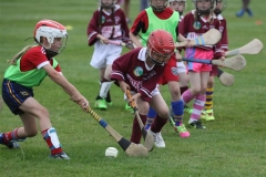 Camogie Blitz (7) (Medium)