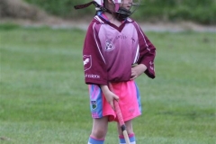 Camogie Blitz (8) (Medium)