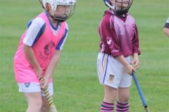 Camogie Blitz (9) (Medium)