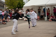 Festival 2016 (83) (Medium)