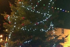 xmas tree 15 (Medium)