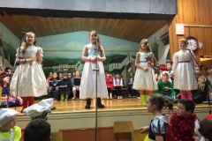 Our Four Fairies (Medium)