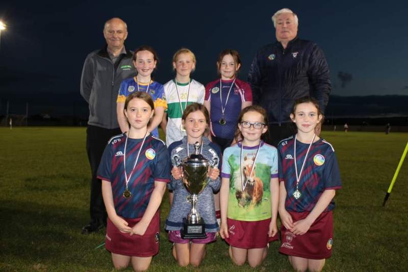 Tipperary Co-op Camogie League Finals 2022
